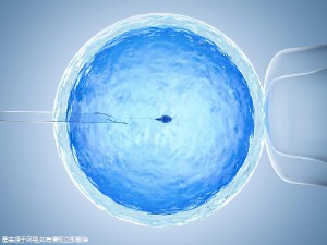 遗传咨询科